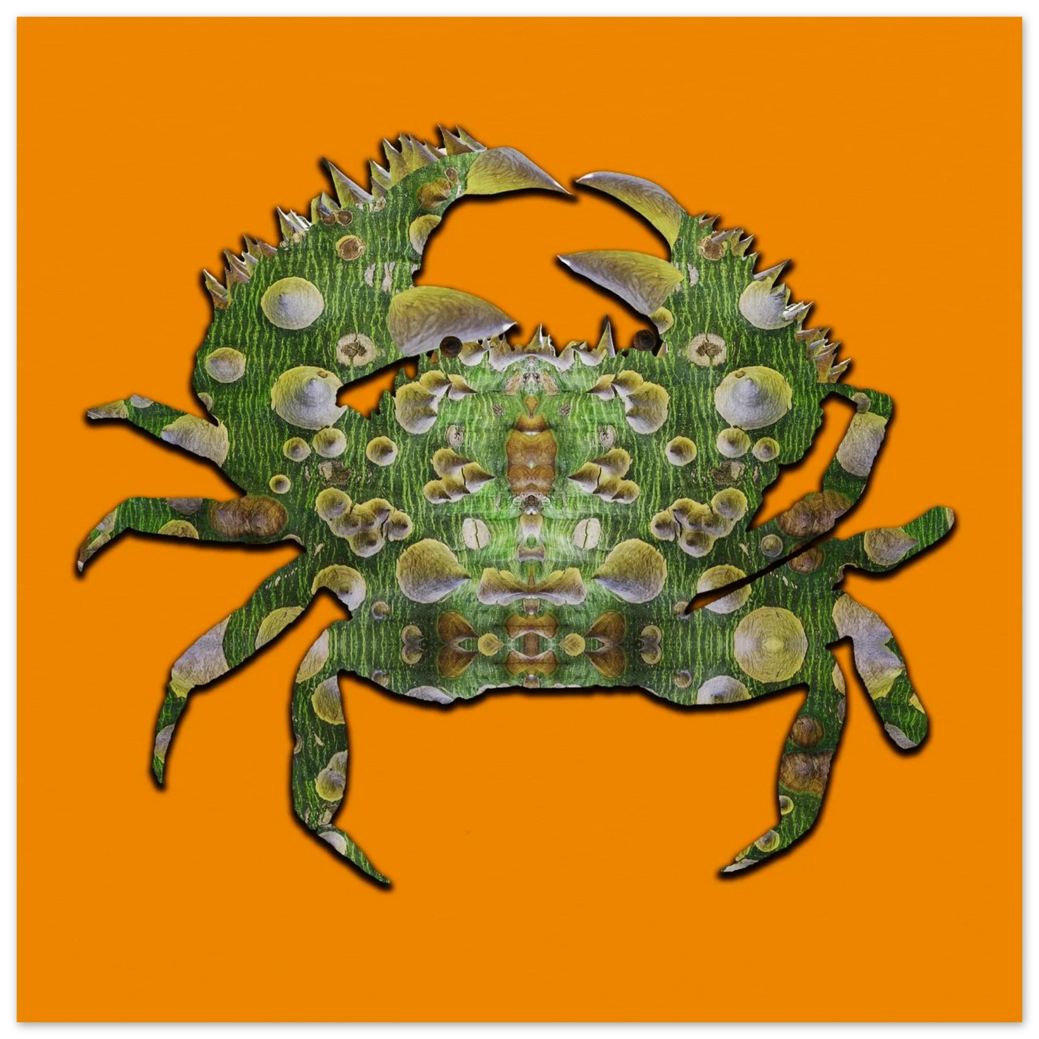 Cancer Gifts