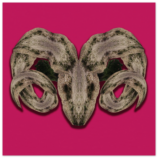 89267e03-04e6-424e-9ed3-716b63d875b7